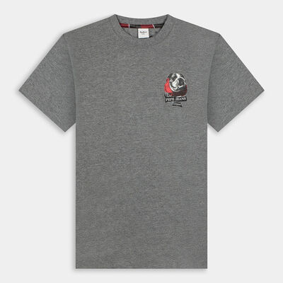 ABBIGLIAMENTO da UOMO | T PEPE JEANS