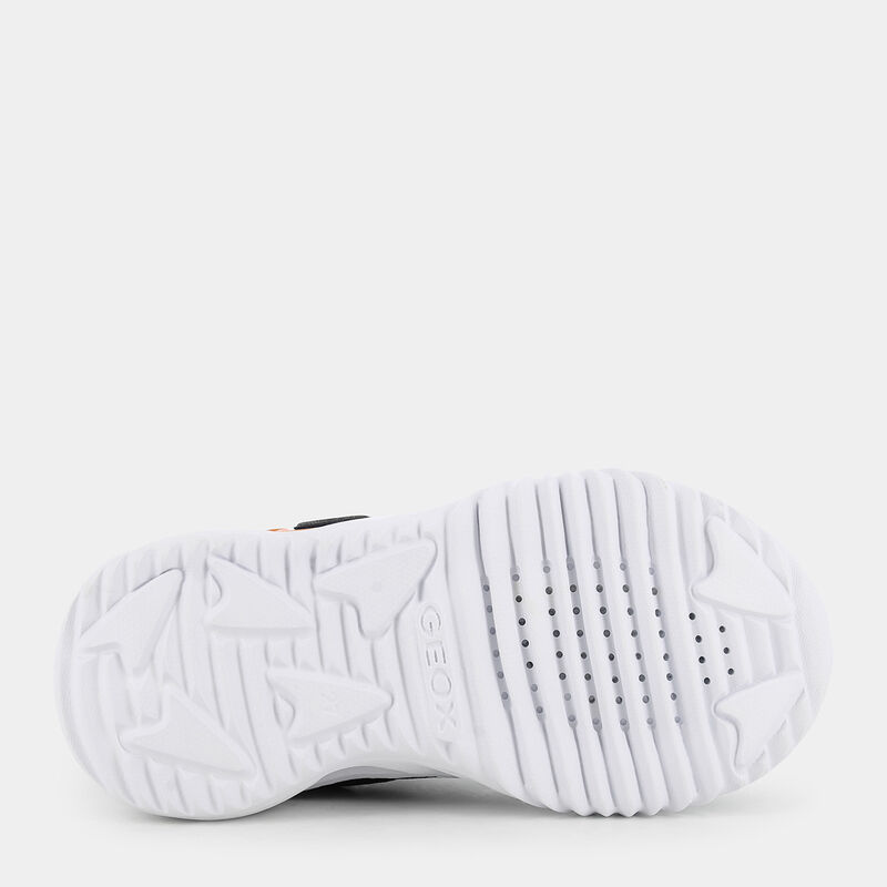 BAMBINO da BAMBINI | SPORTIVE GEOX