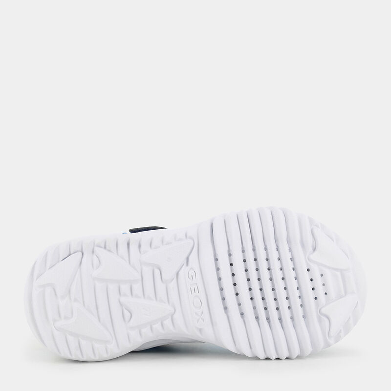 BAMBINO da BAMBINI | SPORTIVE GEOX