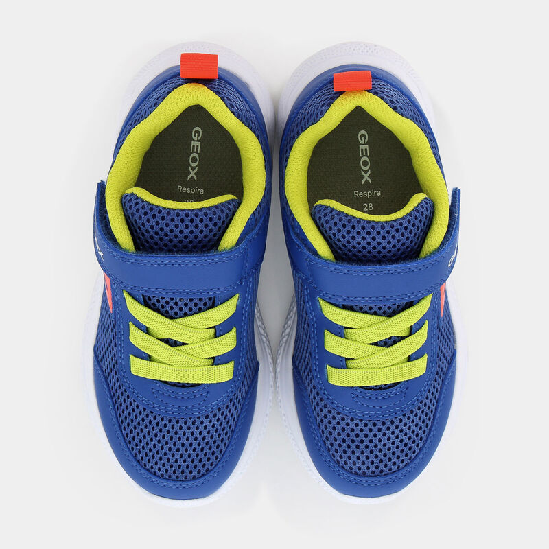 BAMBINO da BAMBINI | SNEAKERS GEOX