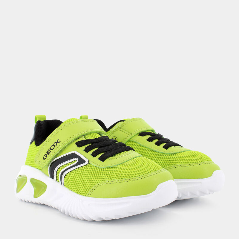 BAMBINO da BAMBINI | SPORTIVE GEOX