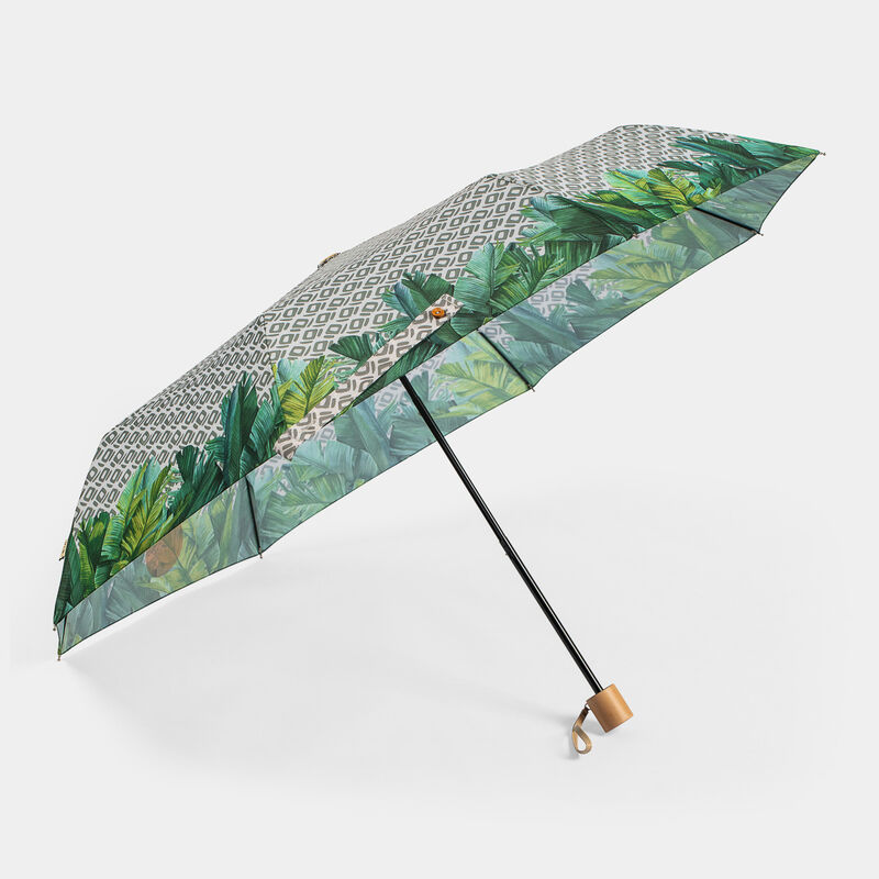 null da PERLETT 19130 GREEN MANUALE FOLIAGE CO | null PERLETTI