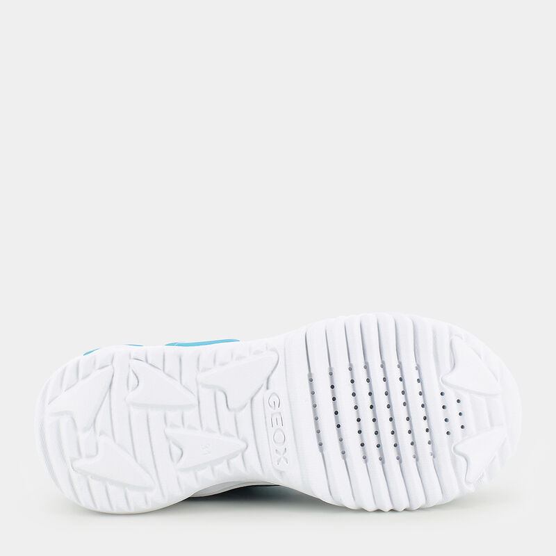 BAMBINO da BAMBINI | SPORTIVE GEOX