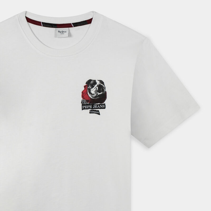 ABBIGLIAMENTO da UOMO | T PEPE JEANS