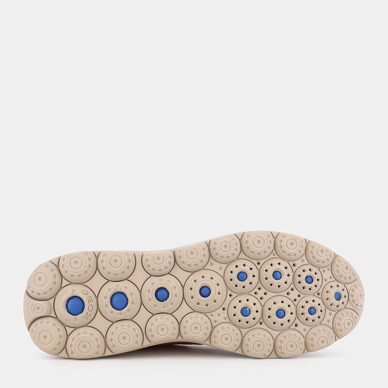 SCARPE da DONNA | SNEAKERS GEOX