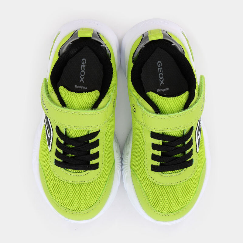 BAMBINO da BAMBINI | SPORTIVE GEOX