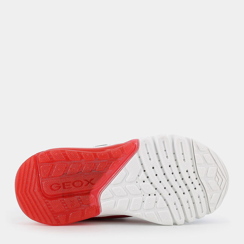 BAMBINO da BAMBINI | SPORTIVE GEOX