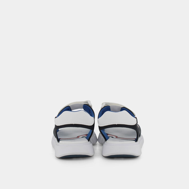 007  007 BLU E22, 36 da TOMMY H 32260 | null TOMMY HILFIGER