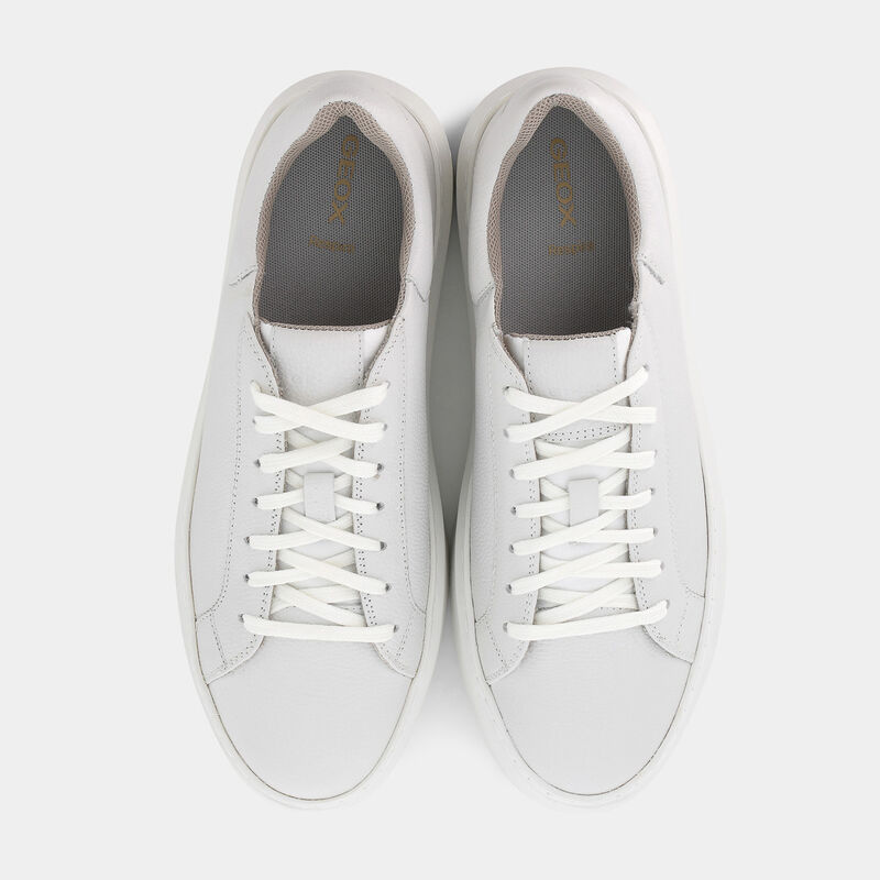 SCARPE da UOMO | SNEAKERS GEOX