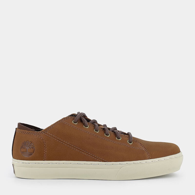 SCARPE da UOMO | SNEAKERS TIMBERLAND