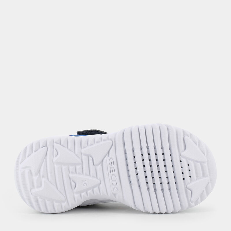 BAMBINO da BAMBINI | SPORTIVE GEOX