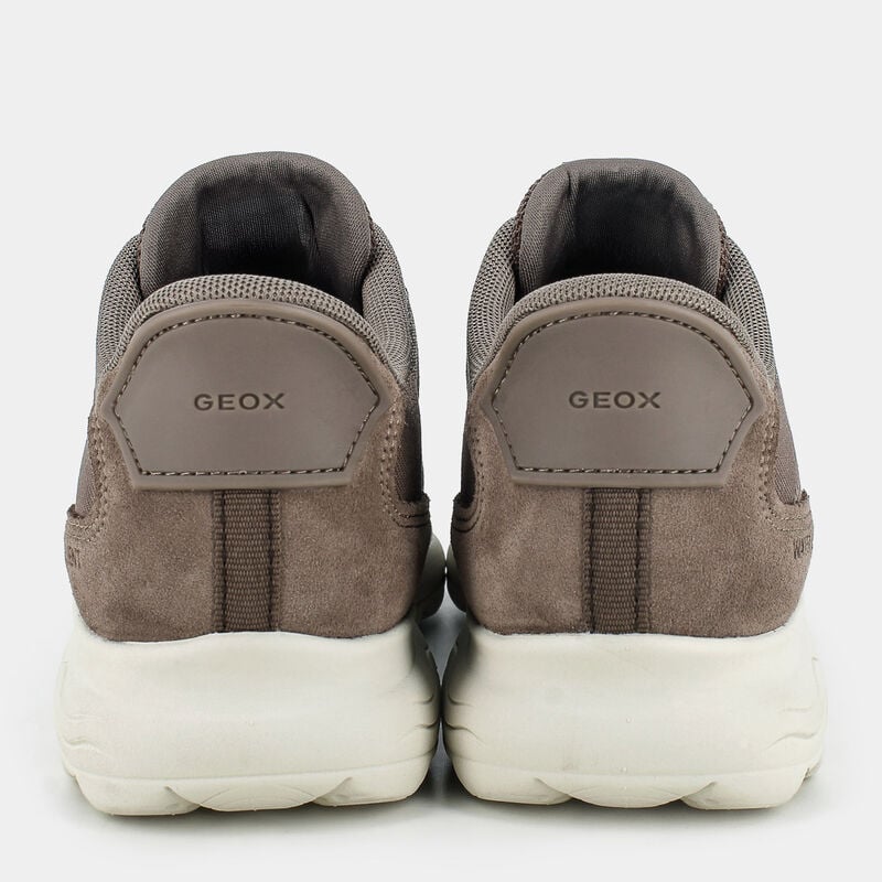 SCARPE da DONNA | SNEAKERS GEOX