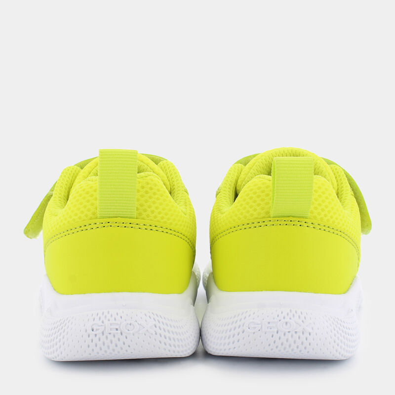 BAMBINO da BAMBINI | PRIMI PASSI GEOX