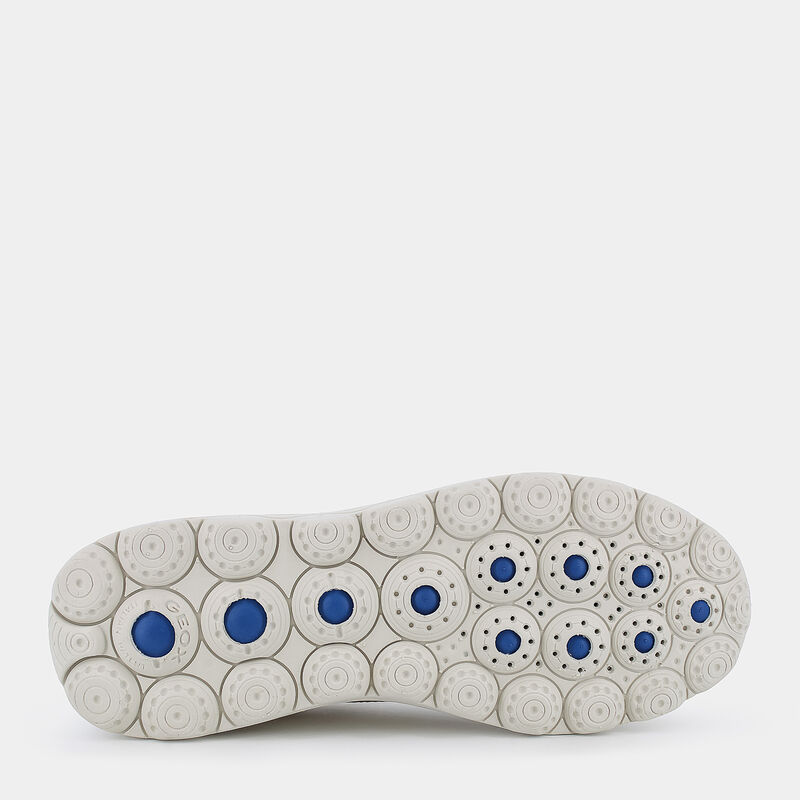 SCARPE da DONNA | SNEAKERS GEOX