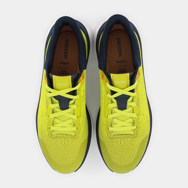 SCARPE da UOMO | SNEAKERS GEOX