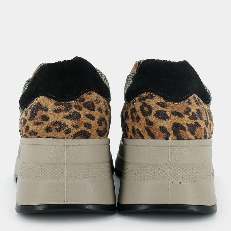 SCARPE da DONNA | SNEAKERS IGI & CO.