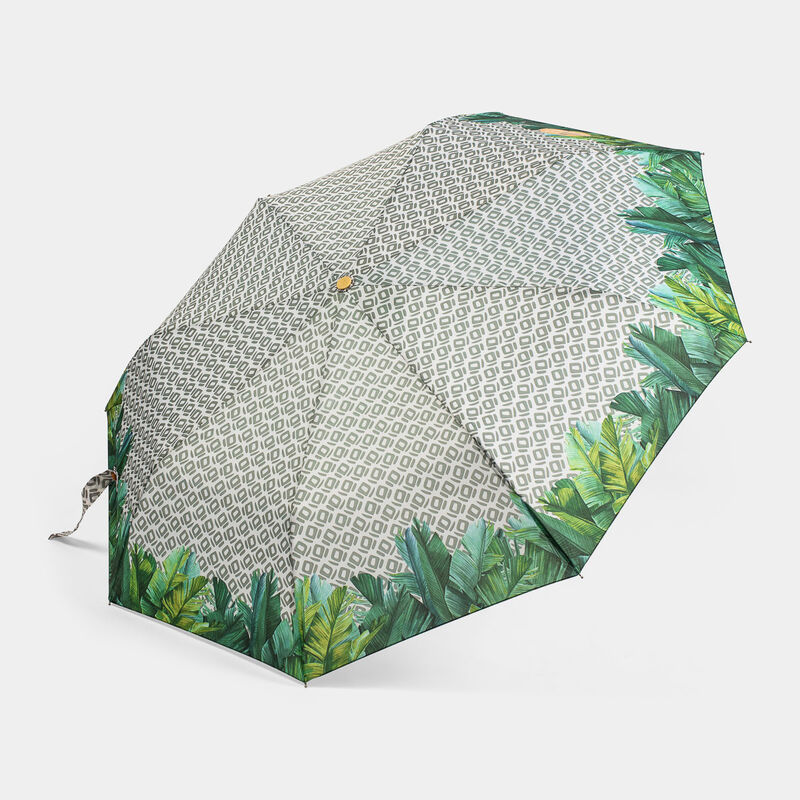 null da PERLETT 19130 GREEN MANUALE FOLIAGE CO | null PERLETTI