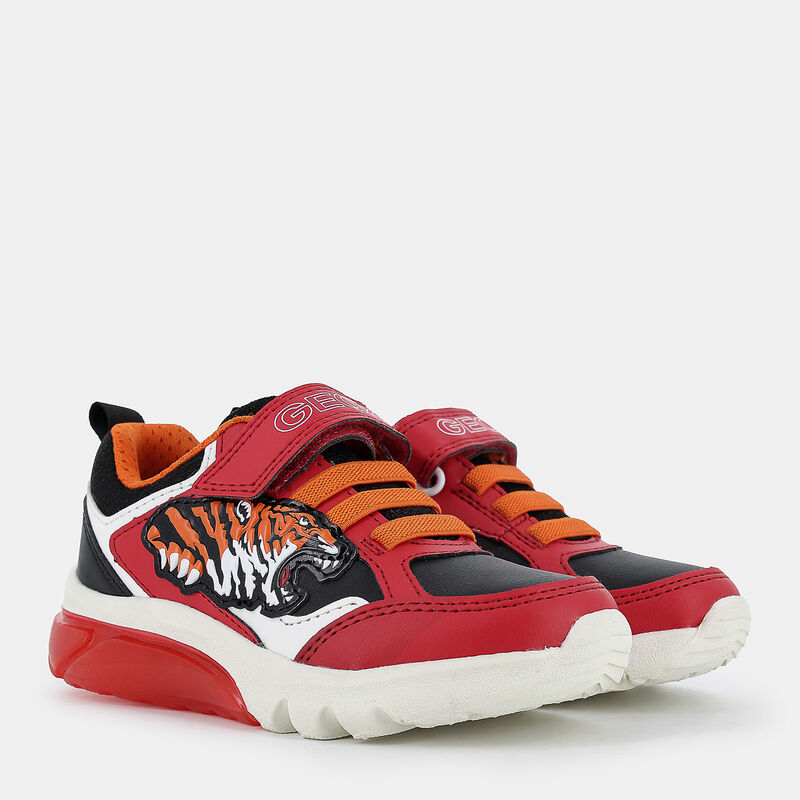 BAMBINO da BAMBINI | SPORTIVE GEOX