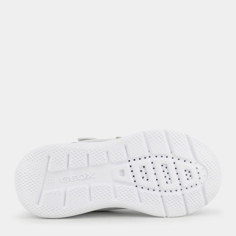 BAMBINA da BAMBINI | SNEAKERS GEOX