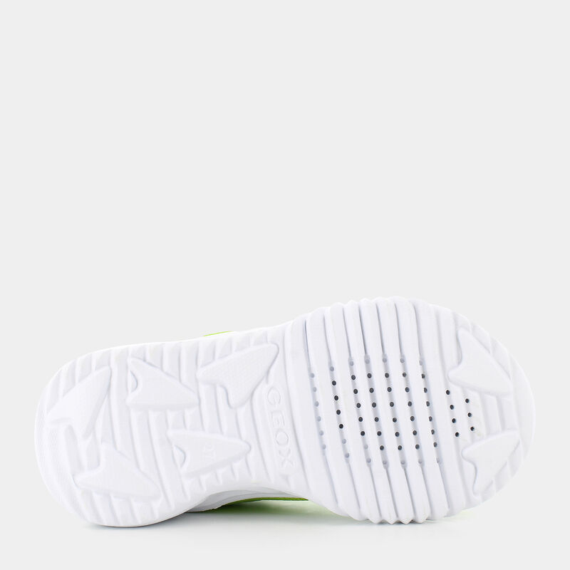 BAMBINO da BAMBINI | SPORTIVE GEOX