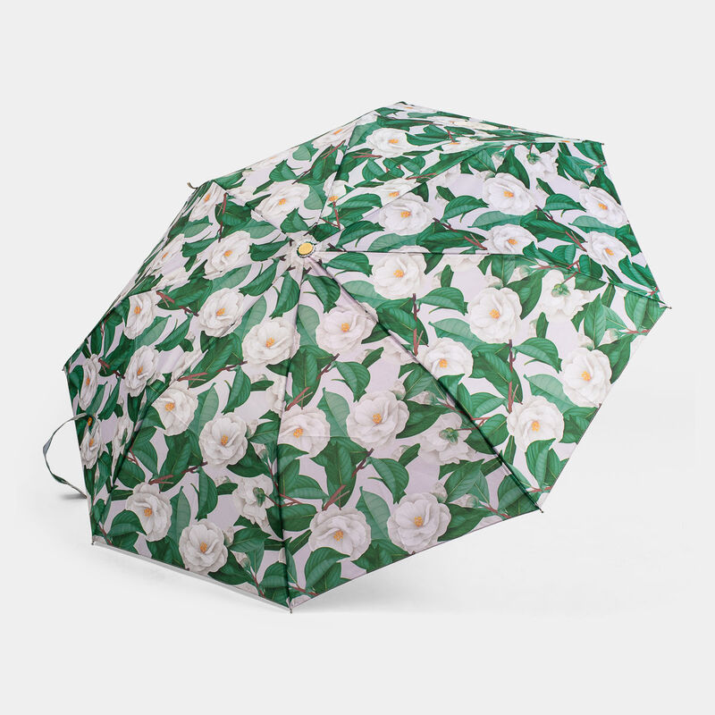 null da PERLETT 19149 AUTOMAT FANTASI CO | null PERLETTI