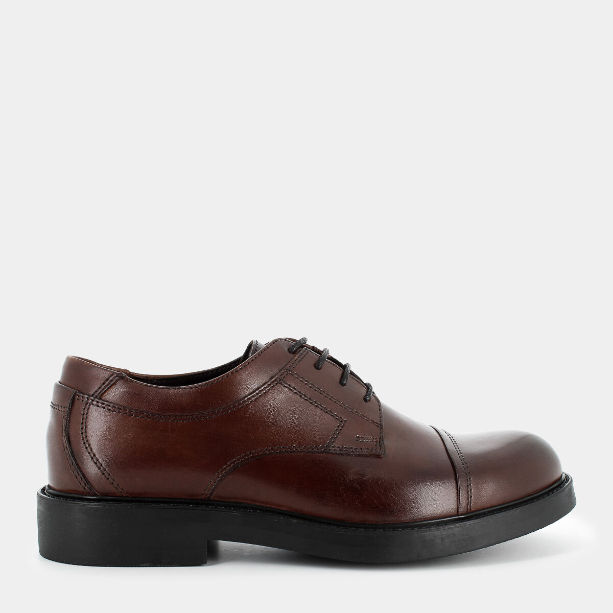 Stringate Shackleton da Uomo, marrone