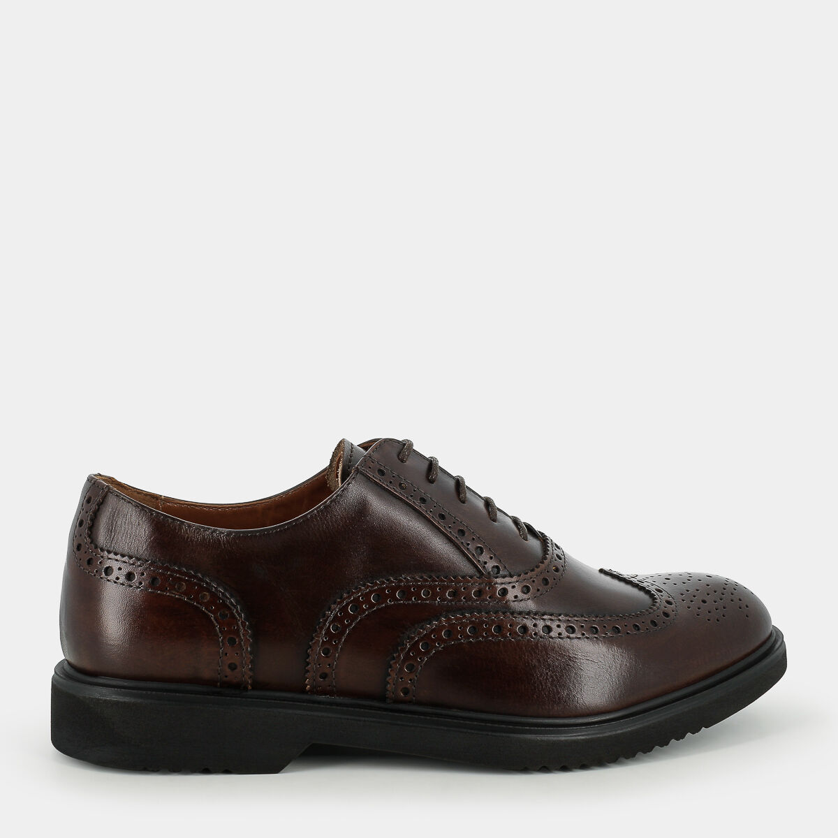 Stringate Nero Giardini da Uomo, marrone