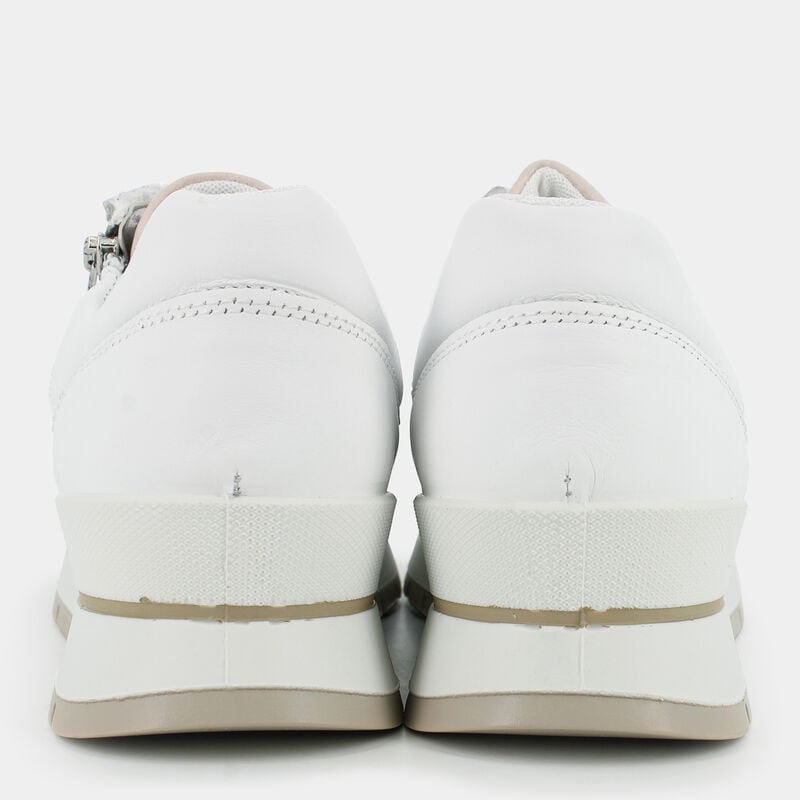 SCARPE da DONNA | SNEAKERS IGI & CO.