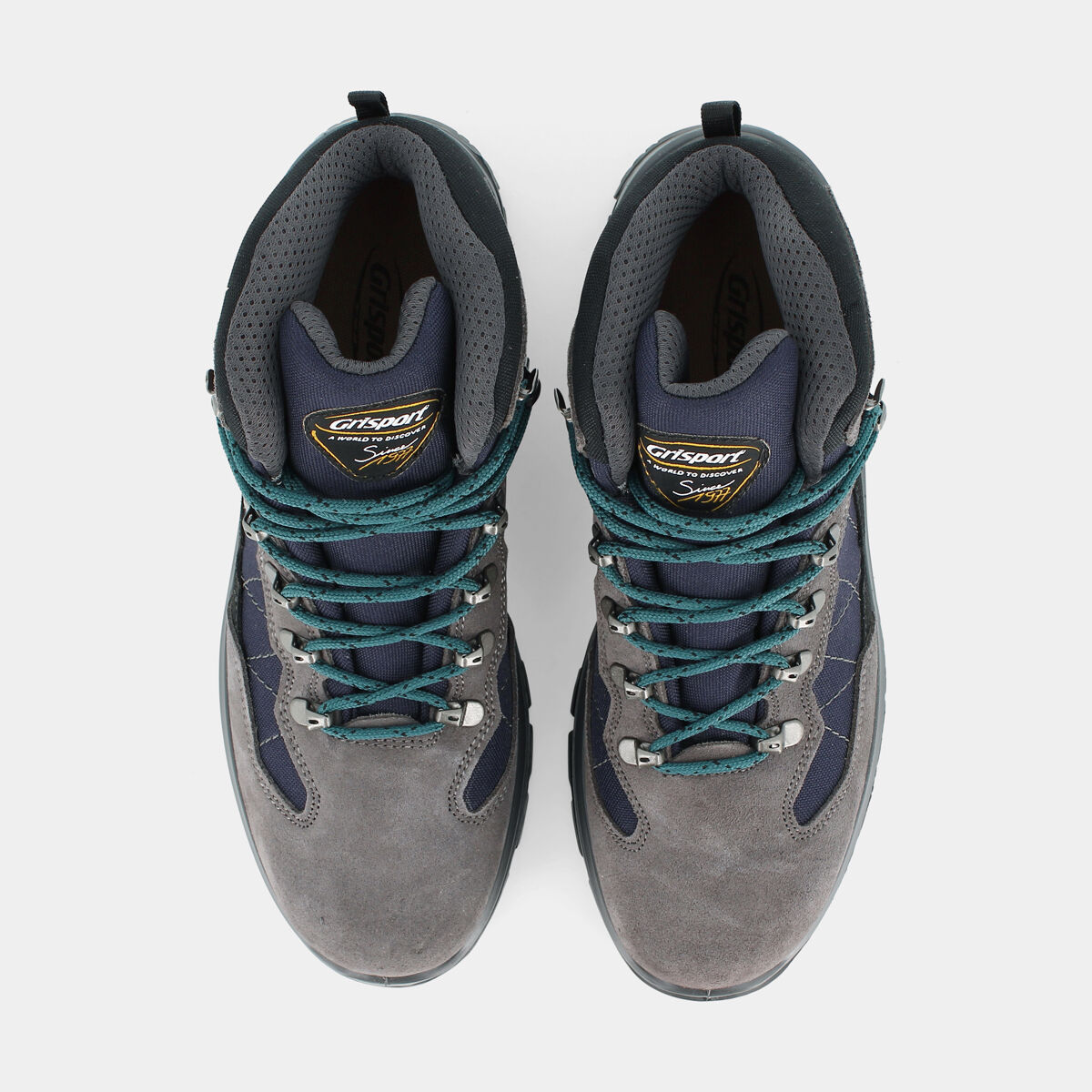 Asics Gel-Nimbus 27 Cream Edo Viola - Scarpe Running Uomo - Acquista online su Sportland