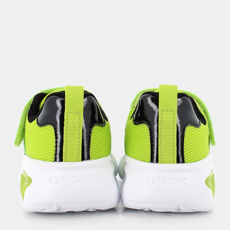 BAMBINO da BAMBINI | SPORTIVE GEOX